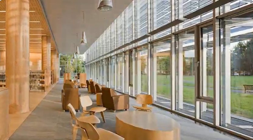 A bright public library with wooden furniture and floor-to-ceiling windows